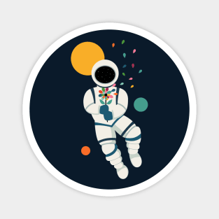 Last Beautiful Magnet